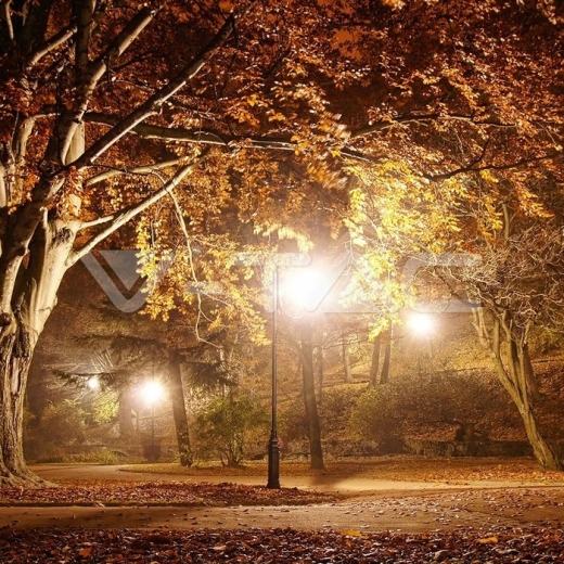 Pole Lamp 1 x E27 1365mm IP44 Black - 11