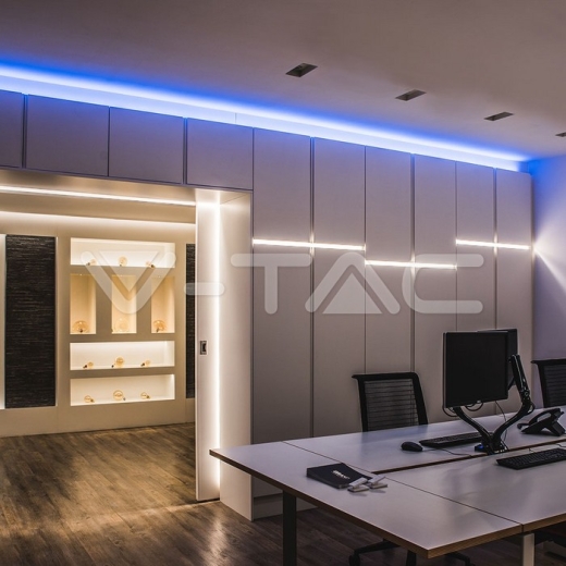 Neon Flex 24V Blue - 10