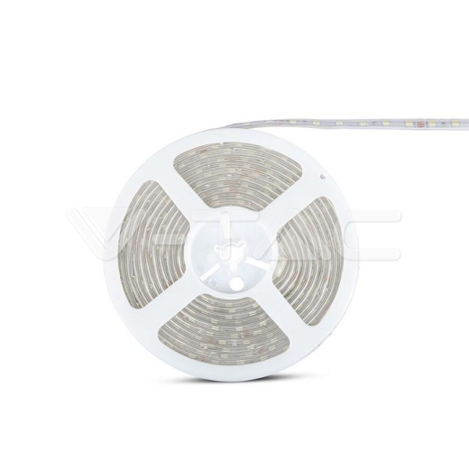 Tira LED 10W 5050 60 LED 24V IP65 6500K, rollo de 5m - 3