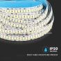LED Strip SMD2835 240 LEDs High Lumen 4000K IP20 - 5