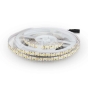 LED Strip SMD2835 204 LEDs High Lumen 4000K IP20 - 1