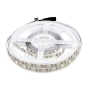 LED Strip SMD3528 120 LEDs High Lumen 4000K IP20 - 1