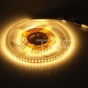 LED Strip SMD3528 120 LEDs High Lumen 6400K IP20 - 10