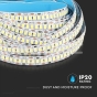 LED Strip SMD2835 240 LEDs High Lumen 6400K IP20 - 7