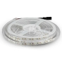 LED Strip SMD3528 120 LEDs 3000K IP65 - 1