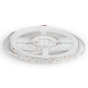 LED Strip SMD3528 60LEDs 4000K IP20 - 1