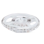 Tira LED SMD5050 60 LEDs 24V 6400K IP20 - 1