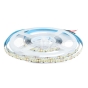 LED Strip SMD2835 238 LEDs High Lumen 24V IP20 6400K 135 lm/W - 1