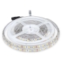 Tira LED SMD5050 60 LEDs 3000K IP65 - 1