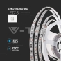 Tira LED SMD5050 60 LEDs 6500K IP20 - 3