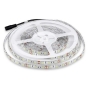 LED Strip SMD5050 60 LEDs 6500K IP65 - 1