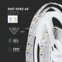 Tira LED SMD5050 60 LEDs IP20 RGB + 6400K - 5