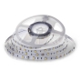 LED Strip SMD5050 30 LEDs 6400K IP20 - 1