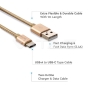 Cable USB 1m. Tipo C Oro Platinum Series - 2