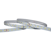 Tira de LED 90 LEDs/m. 24V IP20 6400K 120° 4W/M 200 lm/W